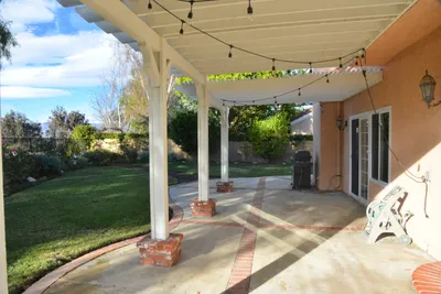 DSC_7376 (Large).JPG